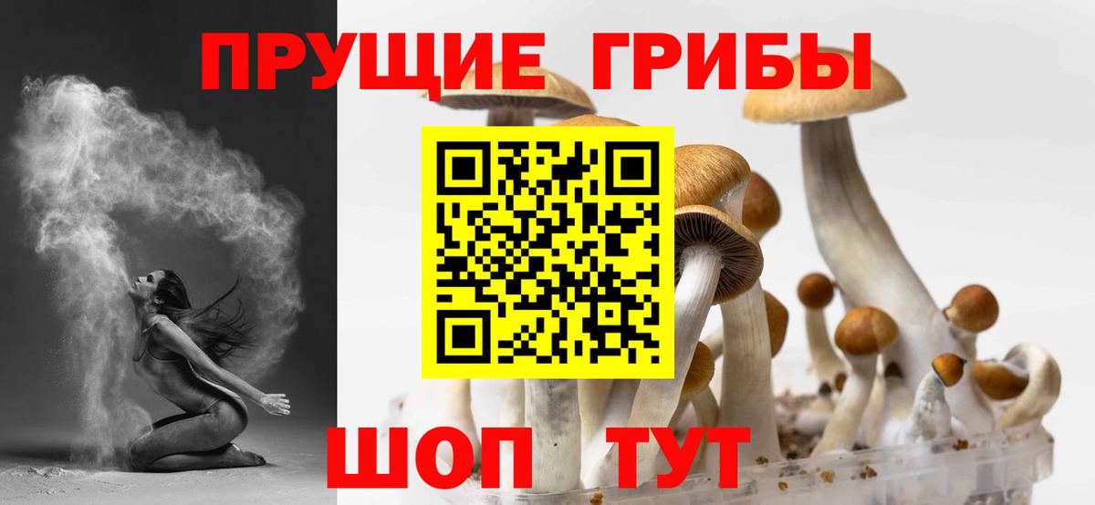 Псилоцибиновые грибы прущие грибы  Вход с VPN  Печора 